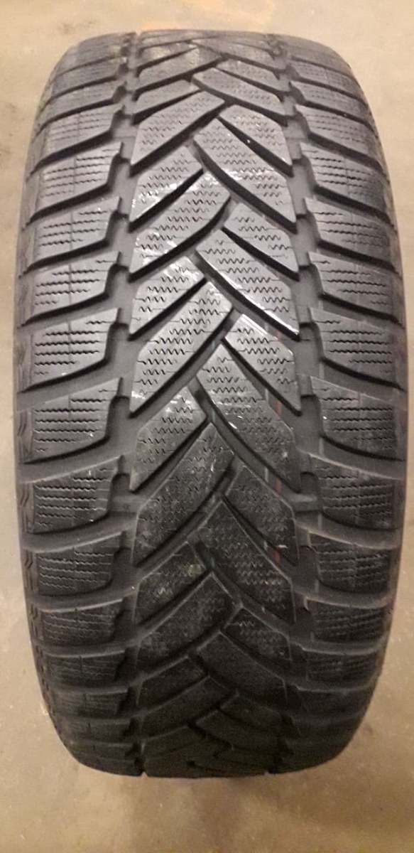 lamellrehv Dunlop Sp Winter Sport M3