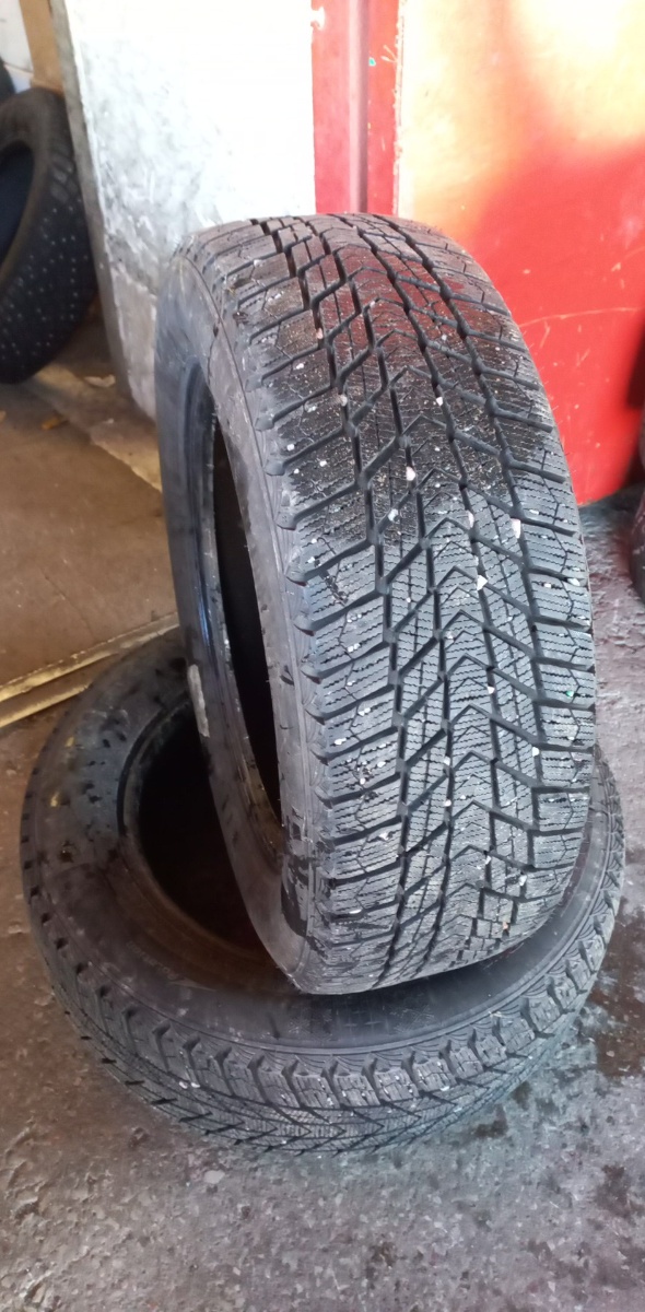 lamellrehv Nexen Winguard ICE Plus