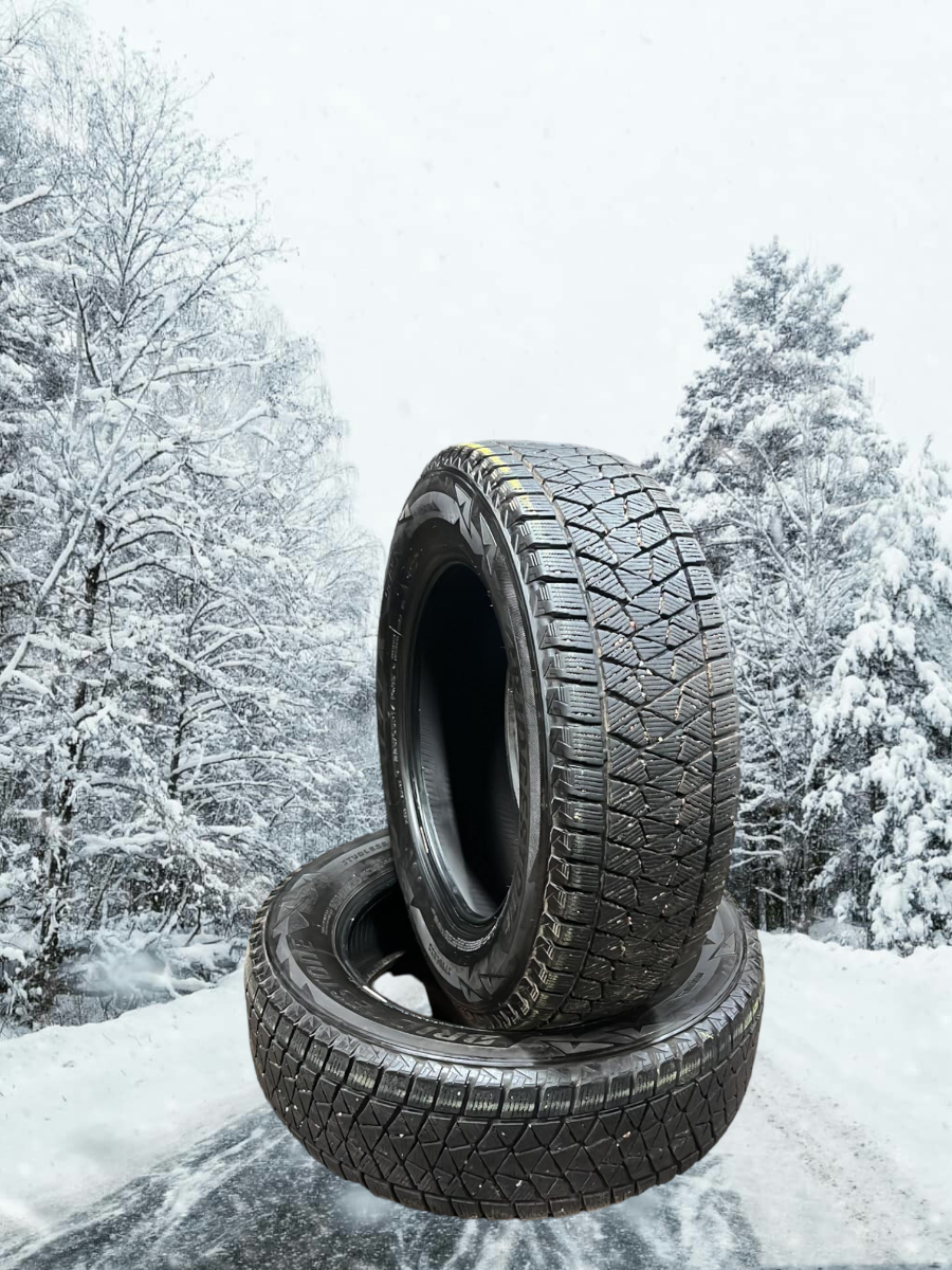 lamellrehv Bridgestone Blizzak DM-V2