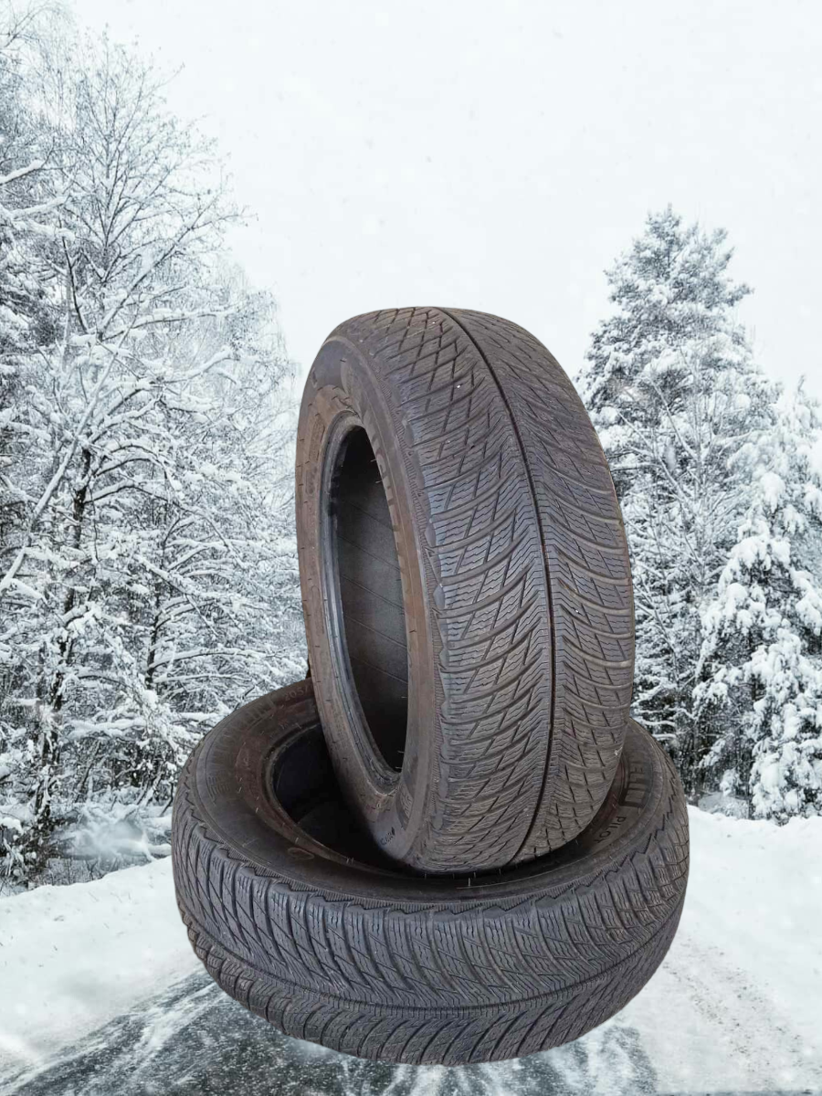 lamellrehv Michelin Pilot Alpin 5 PA5