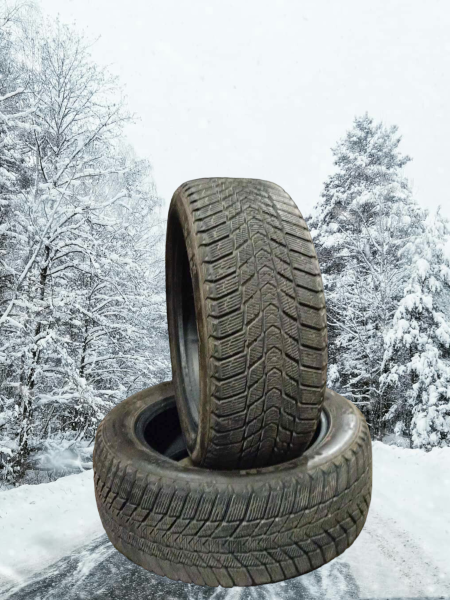 lamellrehv Nexen Winguard ICE+