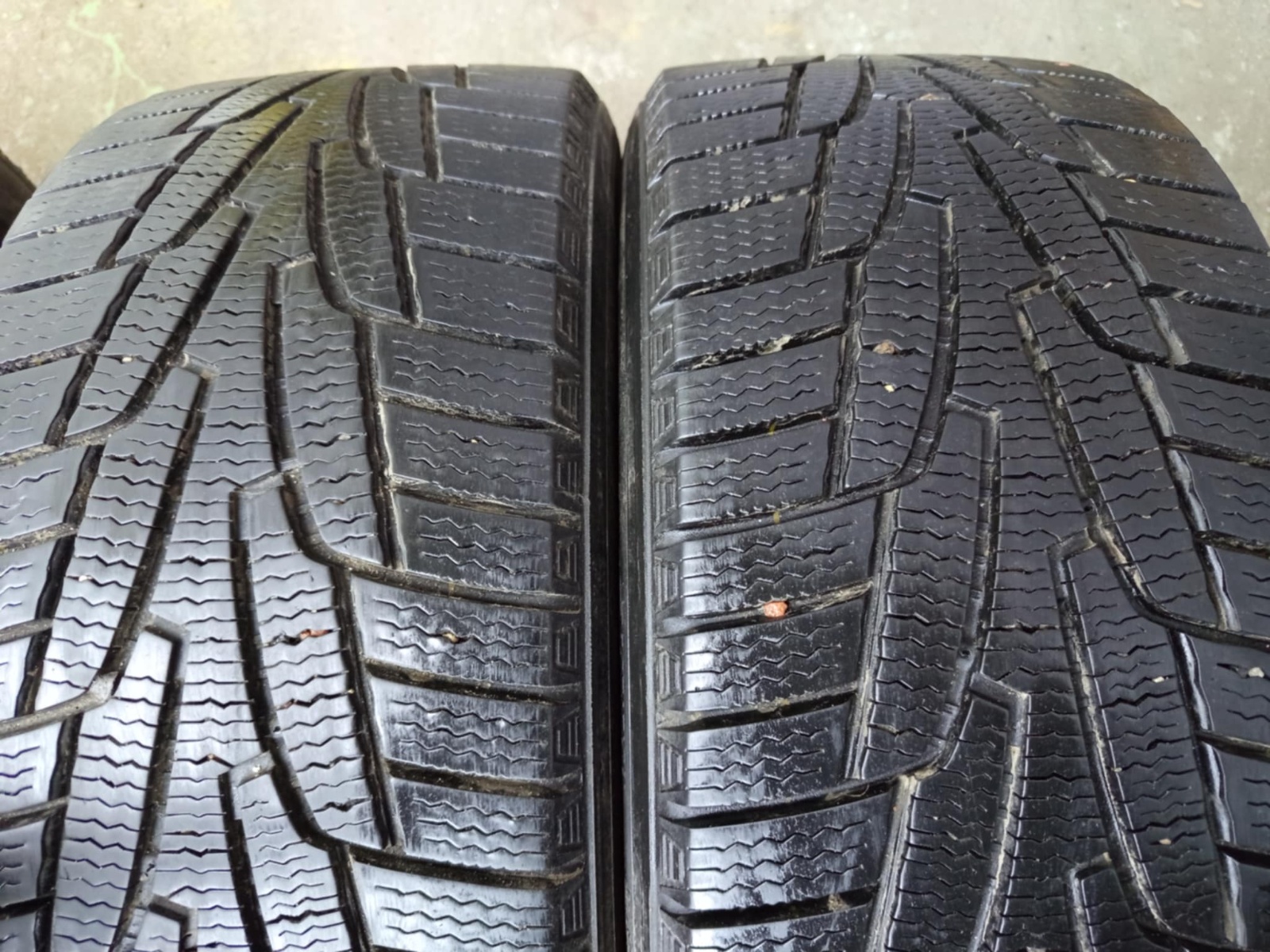 lamellrehv Marshal Izen KW31