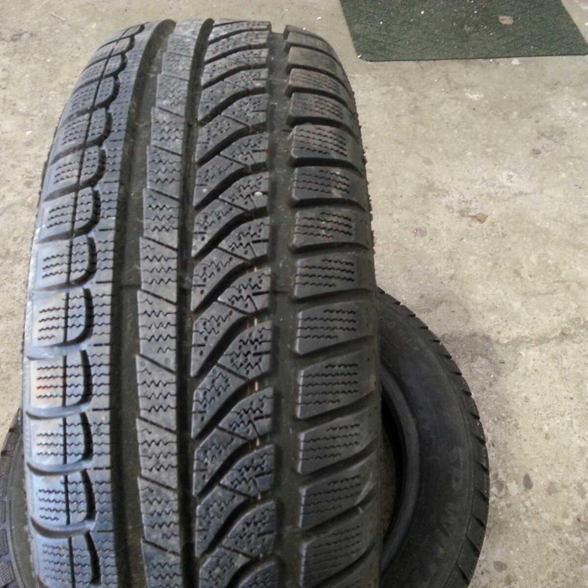 lamellrehv Dunlop Sp Winter Response