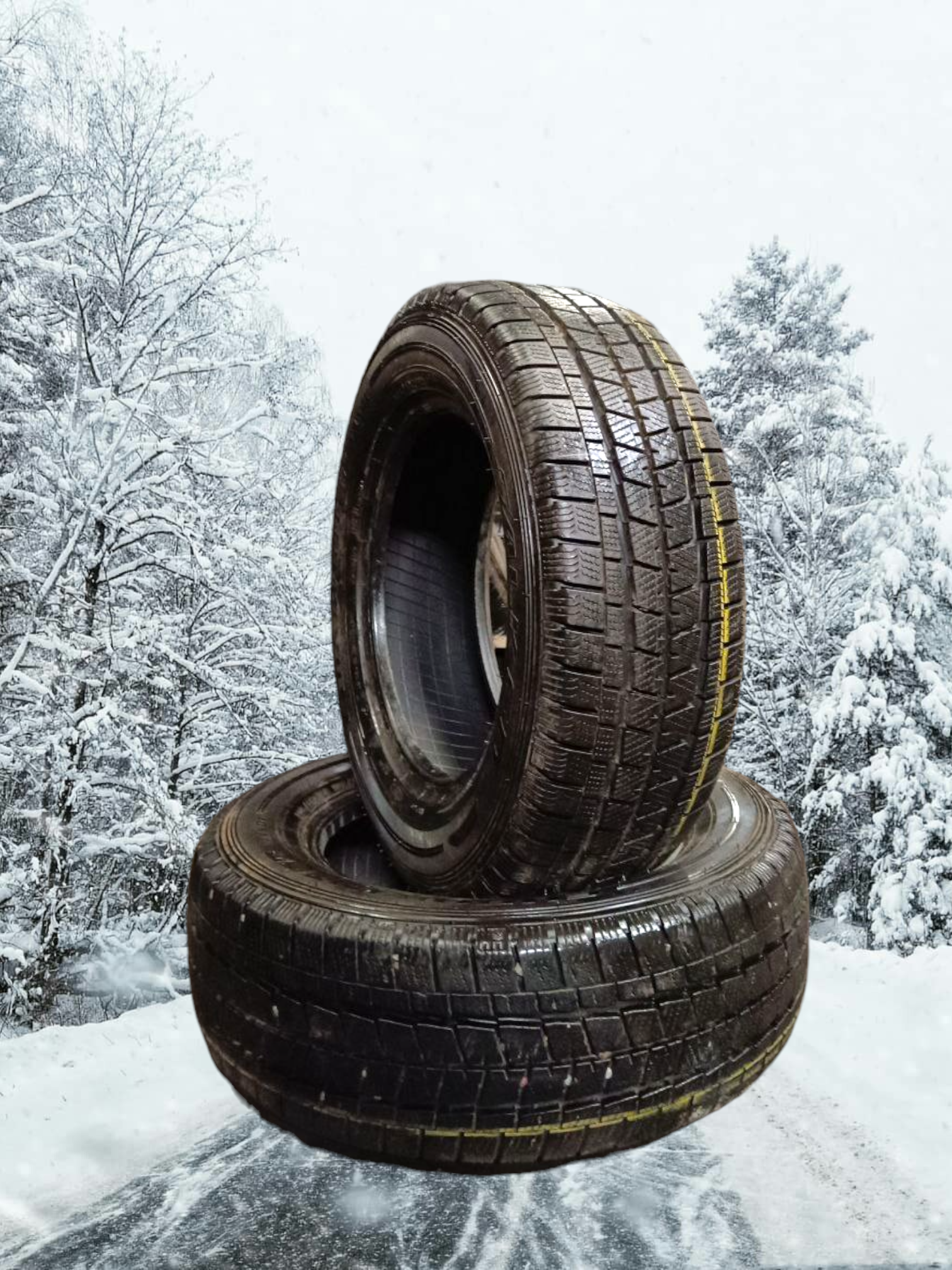 lamellrehv Falken Eurowinter VAN HS 437