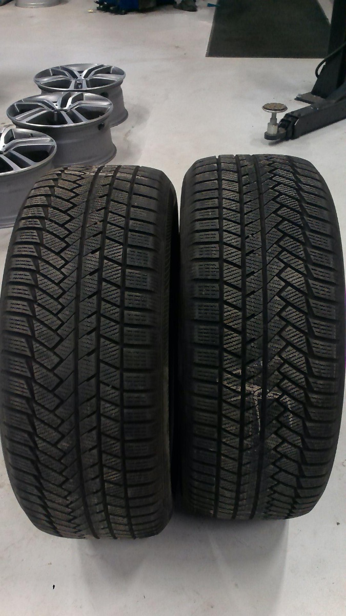 lamellrehv Continental Conti Winter Contact TS 850
